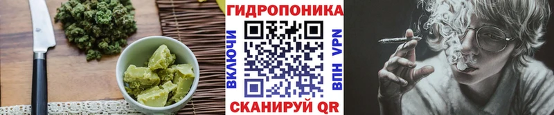 как найти   Печора  Canna-Cookies конопля 