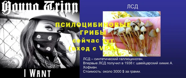 мдпв Волоколамск
