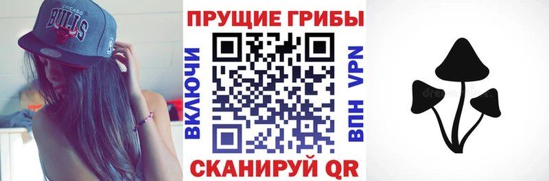 даркнет состав  Печора  Галлюциногенные грибы мицелий 